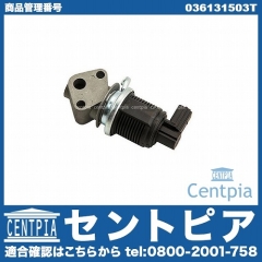 EGRバルブ VW(フォルクスワーゲン) [036131503T]