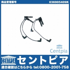 プラグコードセット VW(フォルクスワーゲン) [036905409K]