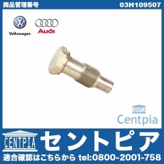 純正 タイミングチェーンテンショナー VW(フォルクスワーゲン) [03H109507]