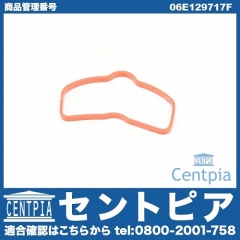 インテークマニホールドガスケット(インマニガスケット) ロア AUDI(アウディ) [06E129717F]