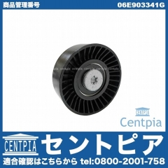 アイドラープーリー AUDI(アウディ) [06E903341G]