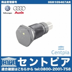 純正 タイミングチェーンテンショナー VW(フォルクスワーゲン) [06H109467AR]
