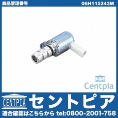 コントロールバルブ VW(フォルクスワーゲン) [06H115243M]