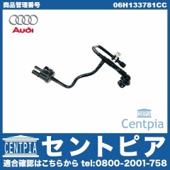 純正 パージバルブ AUDI(アウディ) [06H133781CC]