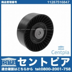 アイドラープーリー BMW [11287516847]