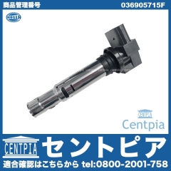 イグニッションコイル VW(フォルクスワーゲン) [036905715F]