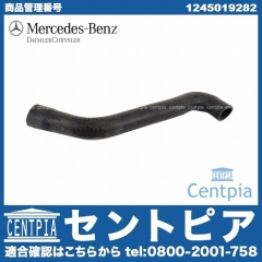 純正 ラジエター アッパーホース メルセデスベンツ [1245019282]