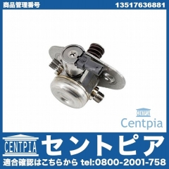 高圧ポンプ ハイプレッシャーポンプ MINI(ミニ) [13517636881]