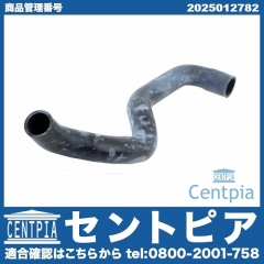 ラジエター ロアホース メルセデスベンツ [2025012782]