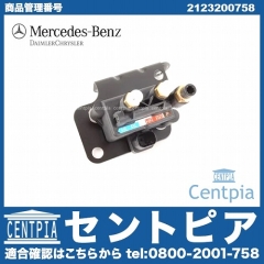 純正 バルブブロック ユニット(エアサス) リア メルセデスベンツ [2123200758]