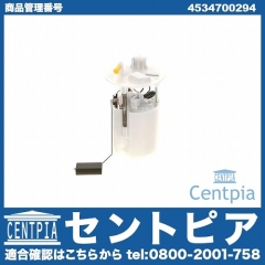燃料ポンプ(フューエルポンプ) SMART(スマート) [4534700294]