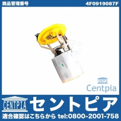 燃料ポンプ(フューエルポンプ) AUDI(アウディ) [4F0919087F]