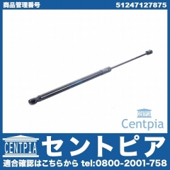 リアゲートダンパー(テールゲートショック) 左右共通 BMW [51247127875]