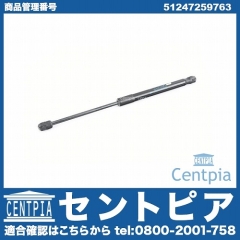 トランクダンパー(トランクショックアブソーバ) BMW [51247259763]
