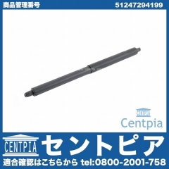 リアゲートダンパー(テールゲートショック) 左右共通 BMW [51247294199]