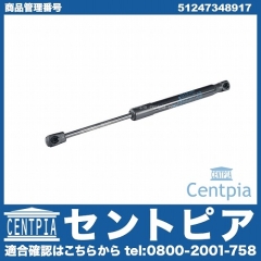 リアゲートダンパー(テールゲートショック) 左右共通 MINI(ミニ) [51247348917]