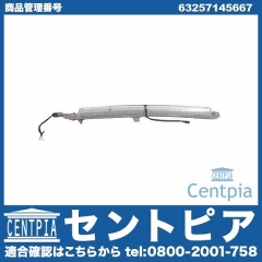 ハイマウントストップランプ BMW [63257145667]