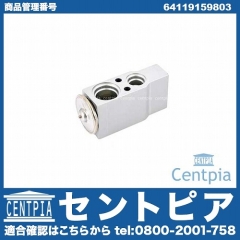 エアコンエキスパンションバルブ BMW [64119159803]