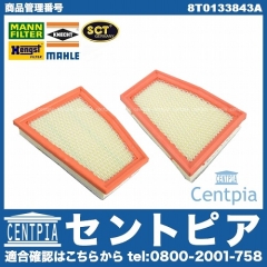 エアフィルター(エアクリーナー) 2個セット AUDI(アウディ) [8T0133843A]
